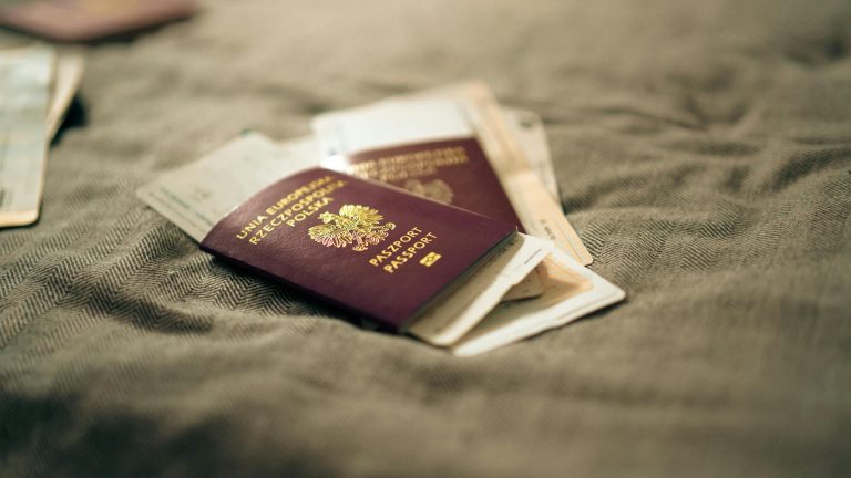 Comment entrer en Russie sans visa (pays exemptés) : l’application RuID et l’autorisation de voyage électronique